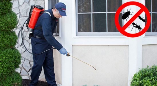 Bozyaka Bit İlaçlama böcek ilaçlama ve haşere kontrolü — ilaclama-tr.com